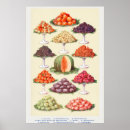 Suche nach vintage obst poster Küche