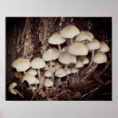 Suche nach baumstumpf kunst Wald