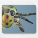 Suche nach antennen mousepads Verbundaugen