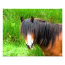 Suche nach waliser kunst Tiere