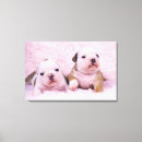 Suche nach englische bulldogge poster Horizontal
