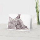 Suche nach schlafenkatze Miezekatze