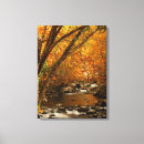 Suche nach creek leinwandbilder Herbst