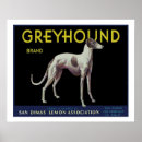 Suche nach windhunde poster Vintag