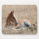 Suche nach wilder mustang mousepads Senf