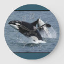 Suche nach orca wanduhren Killer whale