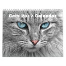 Suche nach verrückt kalender Kätzchen