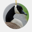 Suche nach gans ornamente Gänse