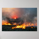 Suche nach prairie poster Sonnenuntergang