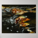 Suche nach strom poster Wasser