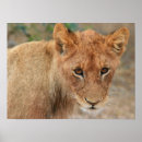 Suche nach kneipen poster Katze