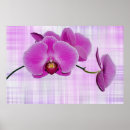 Suche nach fuchsie poster Kühn