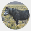 Suche nach mustang aufkleber Wüste
