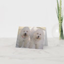 Suche nach bichons karten Durchsuchen