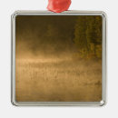 Suche nach teiche ornamente Usa