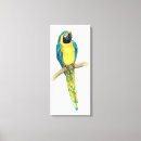 Suche nach macaws kunst Tiere