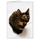 Suche nach kaliko postkarten Orange