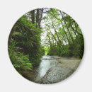 Suche nach farne magnete Natur