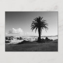 Suche nach africa postkarten Strand