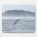 Suche nach schneeeule mousepads Vogelvogel