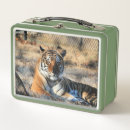 Suche nach tiger brotdosen Süß