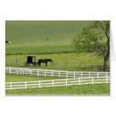 Suche nach pferd und buggy postkarten Weiß