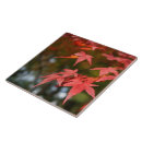 Suche nach jahreszeit fliesen Natur