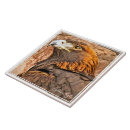 Suche nach eagle fliesen Tier