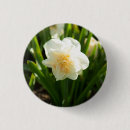 Suche nach narzissen blumen buttons Natur