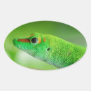 Suche nach gecko aufkleber Tierwelt