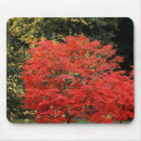Suche nach ahornbaum mousepads Herbst