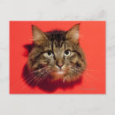 Suche nach tierkopf postkarten Spaß