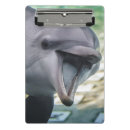 Suche nach delphin klemmbrett Natur