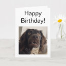 Suche nach memes karten Für ihn