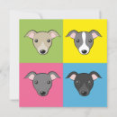 Suche nach whippet geburtstag karten Italienischer windhund
