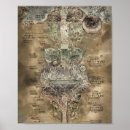 Suche nach chibi poster Anime