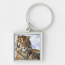 Suche nach altaica Wild lebende tiere