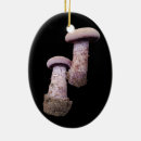 Suche nach essbar ornamente Pilzjagd