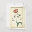 Suche nach vintage tulpen karten Blume