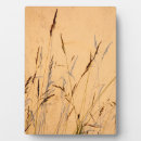 Suche nach gräser fotoplatten Gras