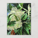 Suche nach botanik postkarten Vintag