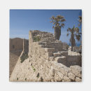 Suche nach israeli magnete Mediterranean