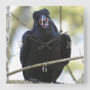 Suche nach alle rave wanduhren Crow