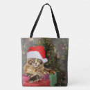 Suche nach maine coon tragetaschen Lustig