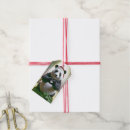 Suche nach panda geschenkanhänger Grün