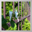 Suche nach weißer reiher poster Blume