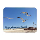 Suche nach möwe magnete Foto