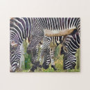 Suche nach zebrastreifen puzzle Tiere