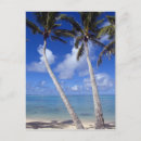 Suche nach cook islands poster Paradies
