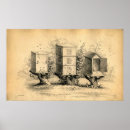 Suche nach bienenstöcke poster Honigbiene